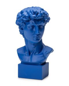 David Blu 36cm