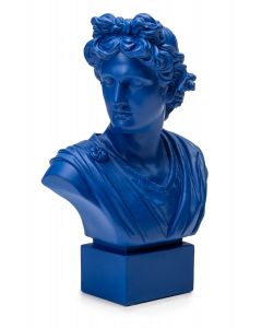 Apollo Blu 36cm