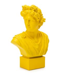 Apollo Giallo 53cm