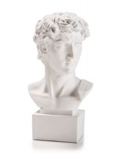 David Bianco 19cm