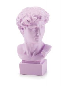 David Lilla 19cm