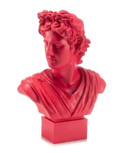 Apollo Rosso 53cm