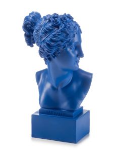 Venere Blu 19cm