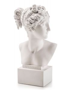 Venere Bianca 19cm