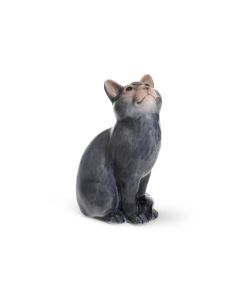 Gatto seduto
