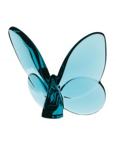 Farfalla turchese