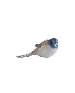 Cinciallegra coda bassa