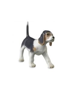 Cane Beagle cucciolo