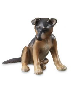 Cane pastore tedesco cucciolo