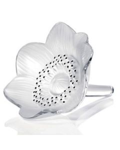 Fiore Anemone