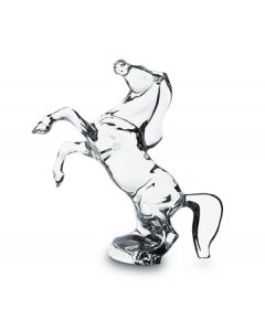 Cavallo imbizzarrito