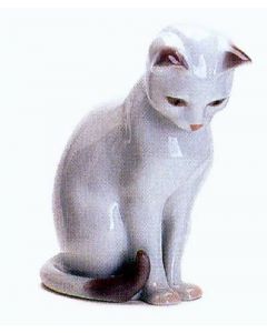 Gatto bianco seduto