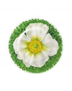 Piatto Frutta Prati bianco