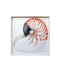 Vassoio quadrato Mare Conchiglia