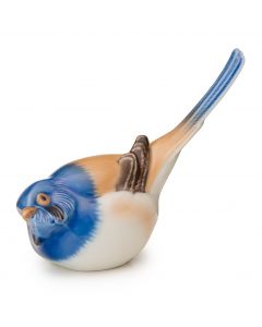 Cinciallegra coda alta