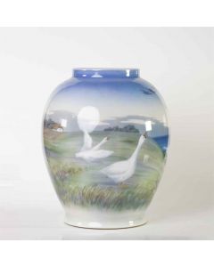 Vaso anatre in volo