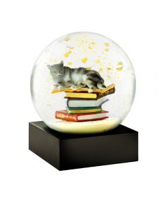 Gatto sui libri Snowglobes