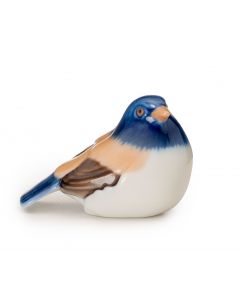 Uccellino cincia