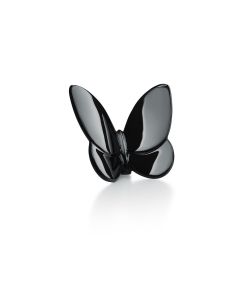 Farfalla nera