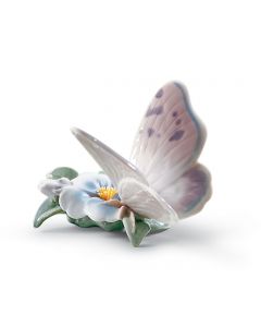 Farfalla