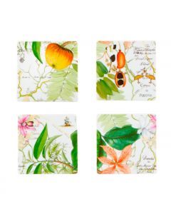 Set 4 sottobicchieri quadri Amazonia