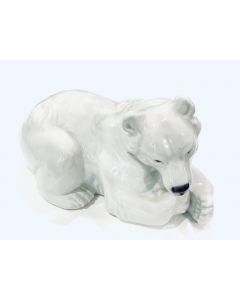 Orso polare grande bianco