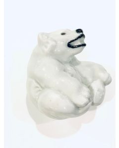 Orso polare sdraiato