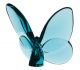 Farfalla turchese