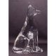 Cane Doberman Egiziano