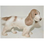 Cane Coker Spaniel cucciolo