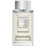 Profumo Hommage 50 ml