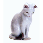 Gatto bianco seduto