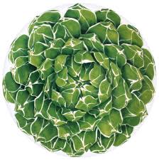 download_4 Piatto Rotondo Segnaposto Cactus - immagine 1