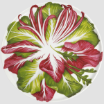 Piatto Rotondo insalata 31 cm