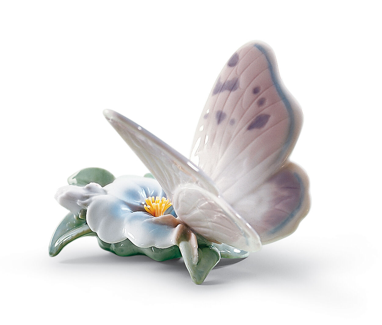 rea Farfalla - immagine 1