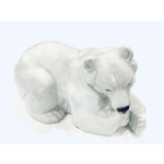 Orso polare grande bianco